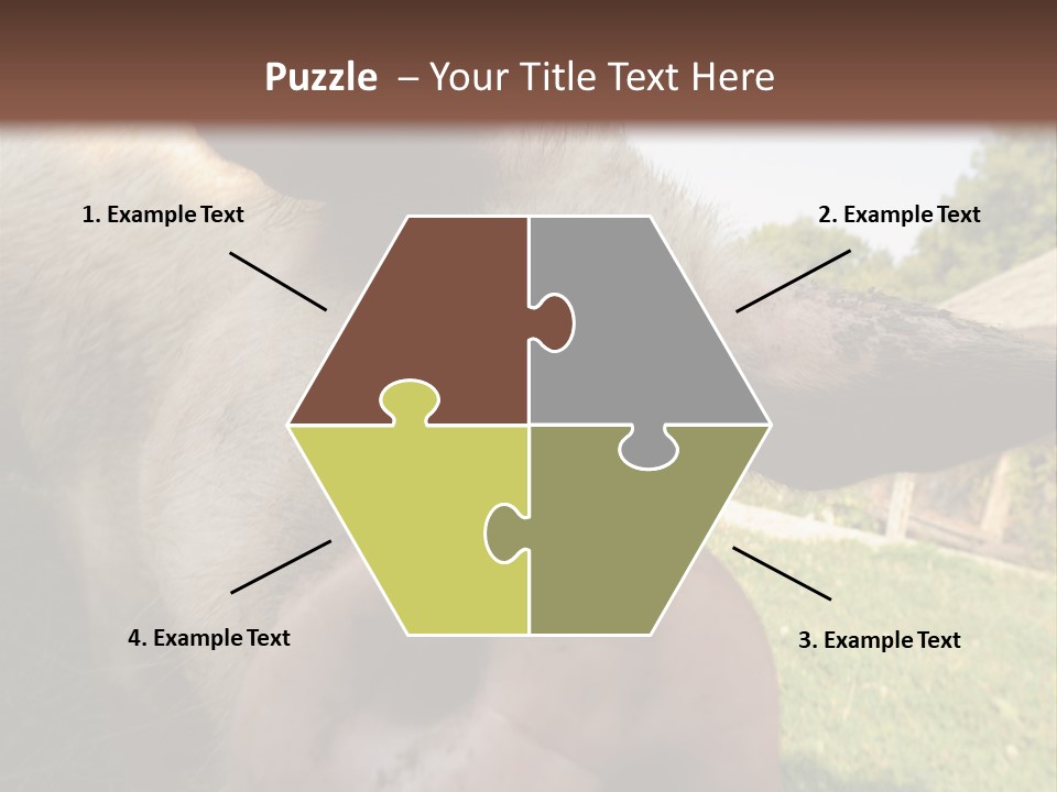 Funny Pig PowerPoint Template