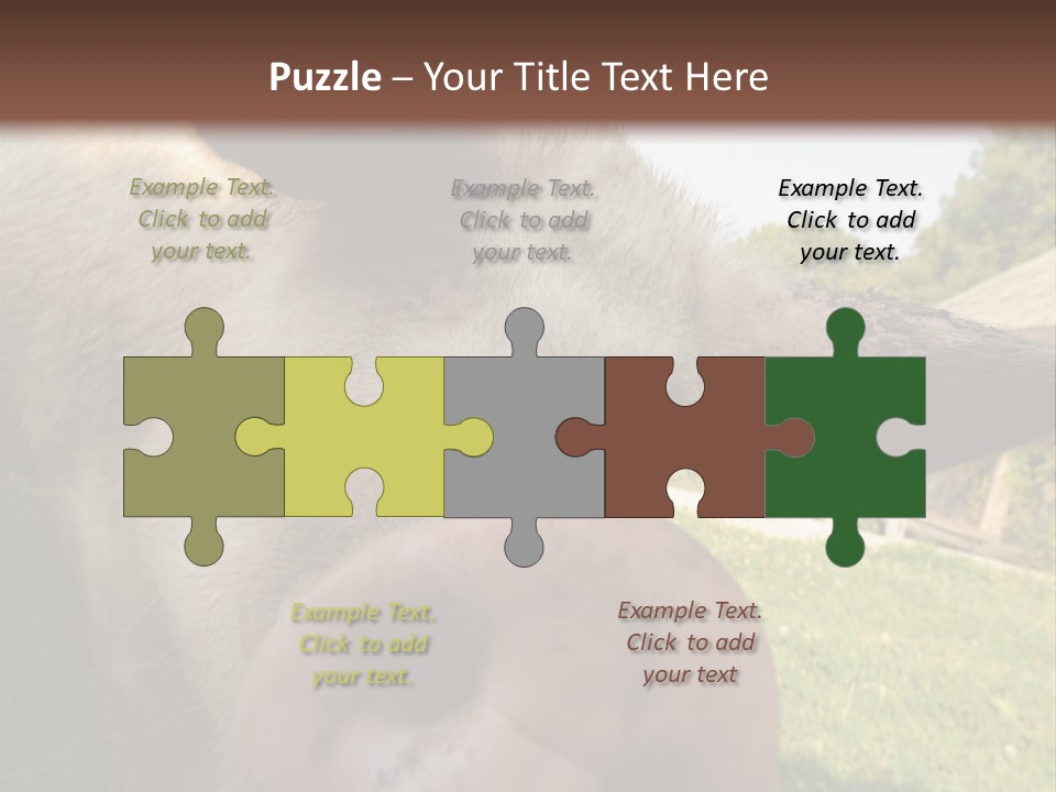 Funny Pig PowerPoint Template