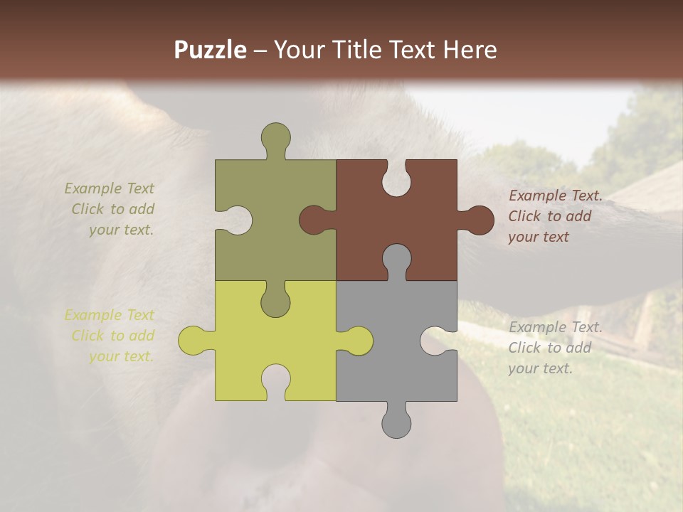 Funny Pig PowerPoint Template