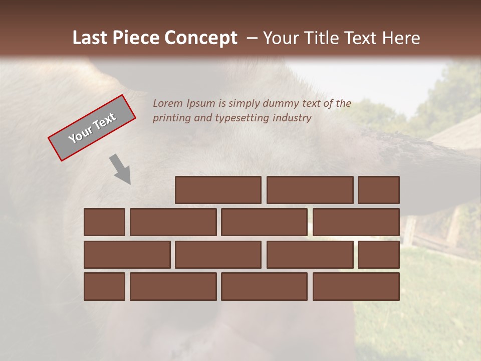 Funny Pig PowerPoint Template