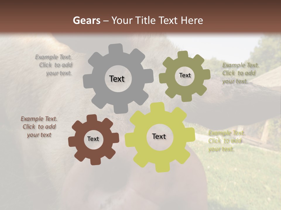 Funny Pig PowerPoint Template