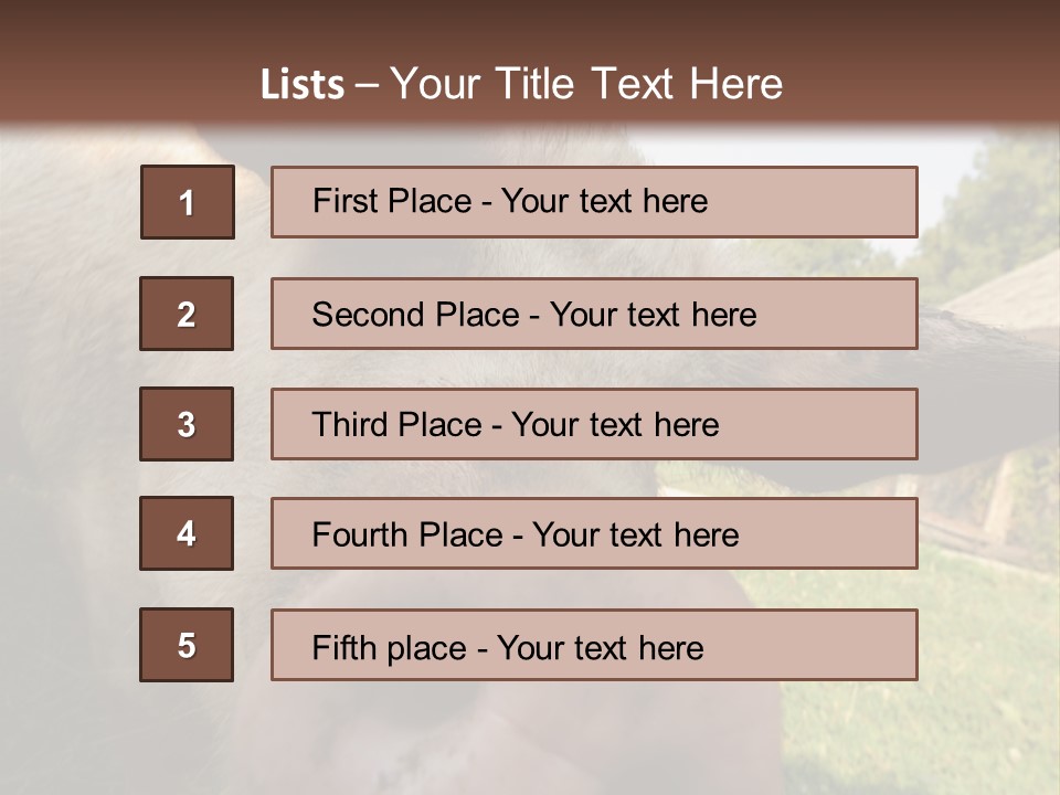 Funny Pig PowerPoint Template