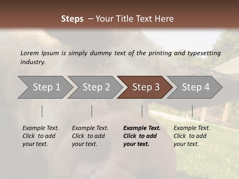 Funny Pig PowerPoint Template