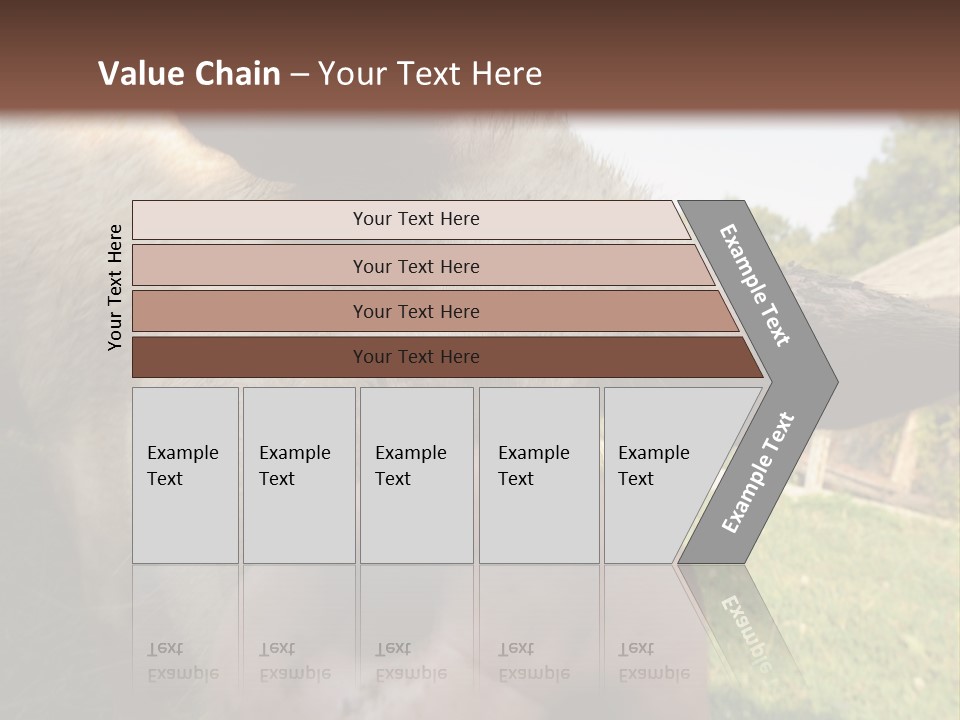 Funny Pig PowerPoint Template