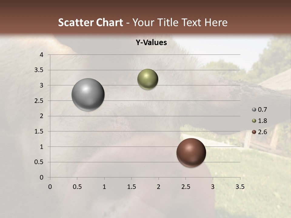 Funny Pig PowerPoint Template