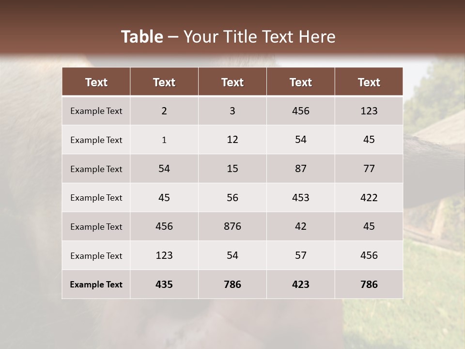 Funny Pig PowerPoint Template