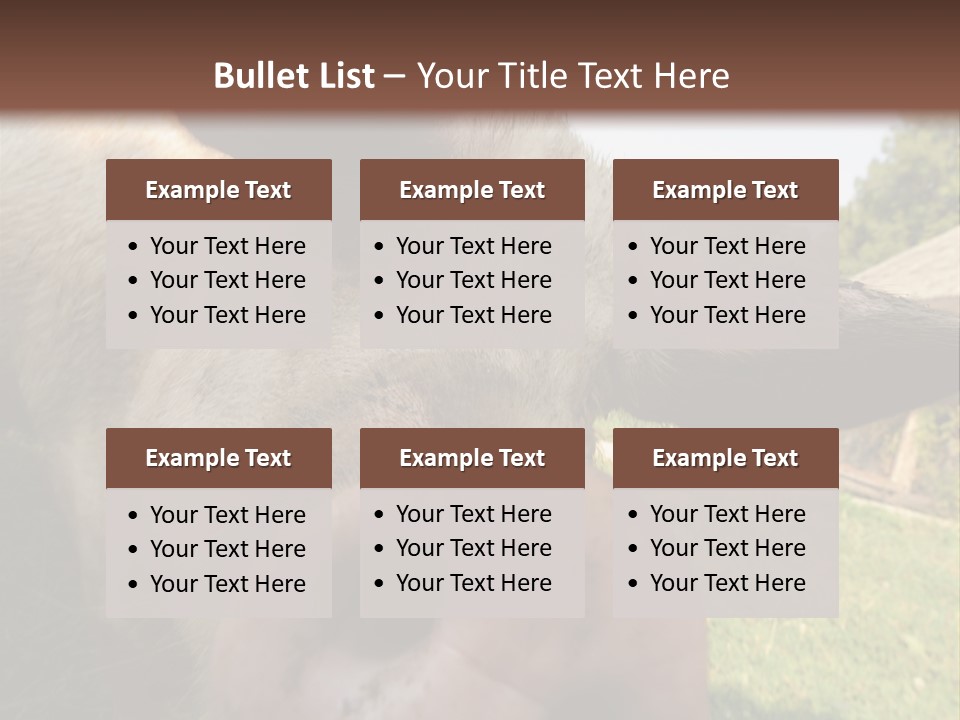 Funny Pig PowerPoint Template