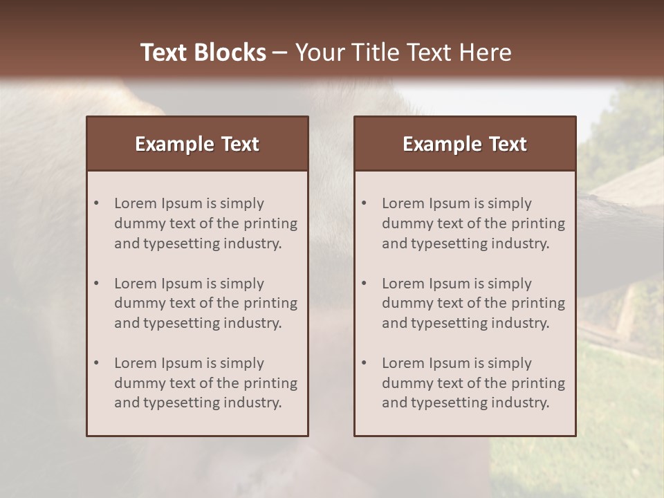 Funny Pig PowerPoint Template