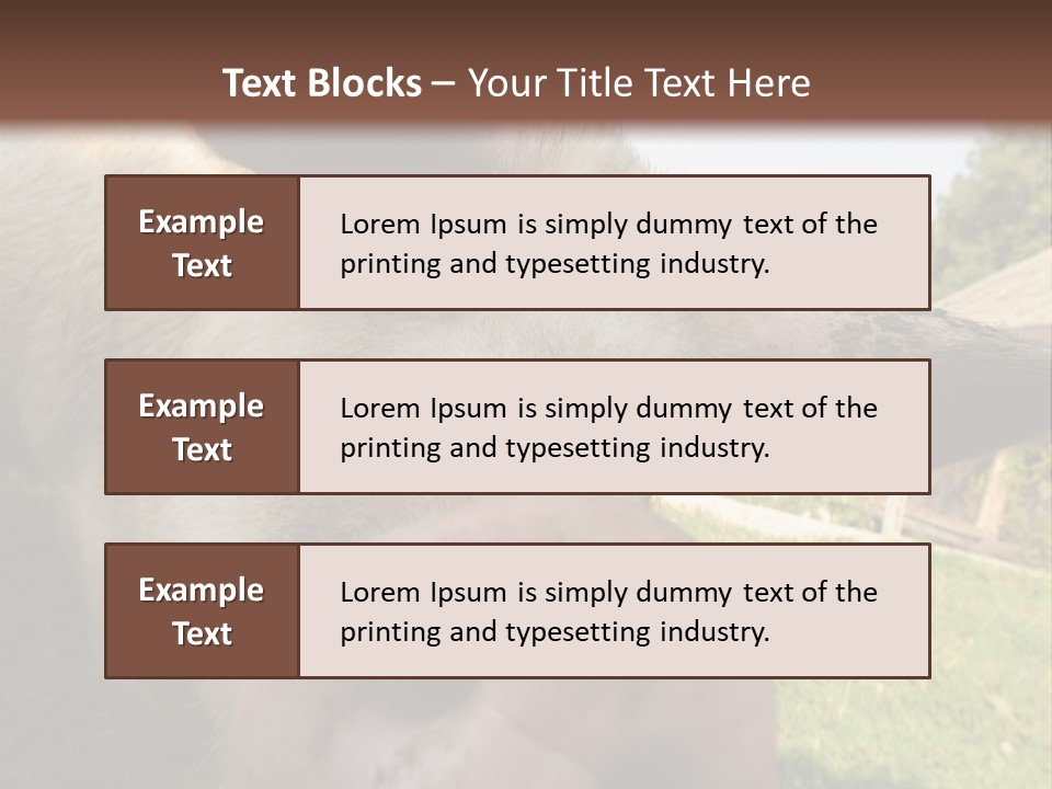 Funny Pig PowerPoint Template