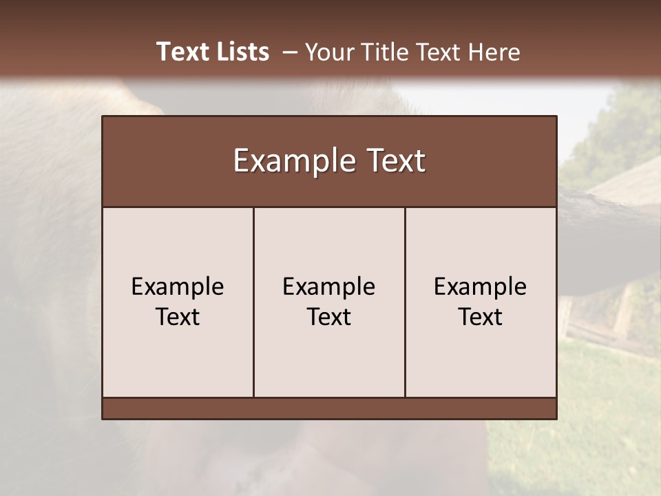 Funny Pig PowerPoint Template