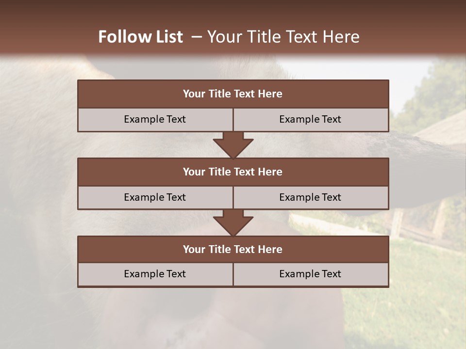 Funny Pig PowerPoint Template