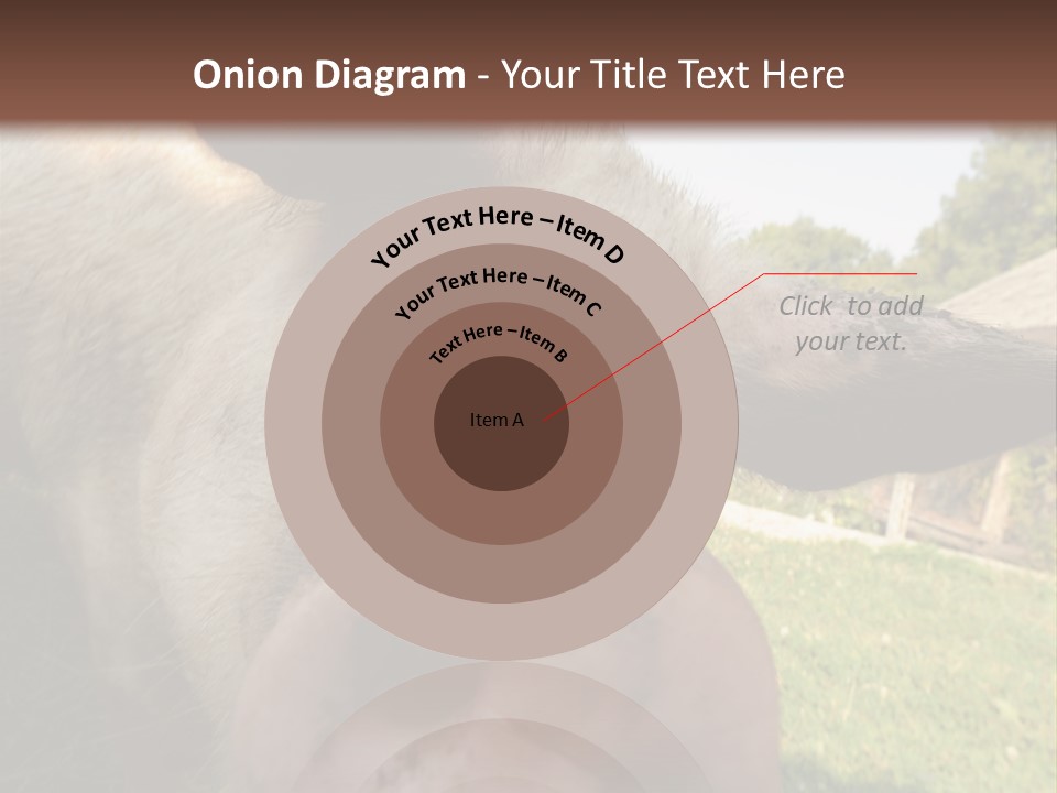 Funny Pig PowerPoint Template