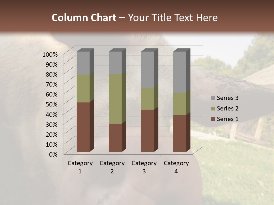 Funny Pig PowerPoint Template