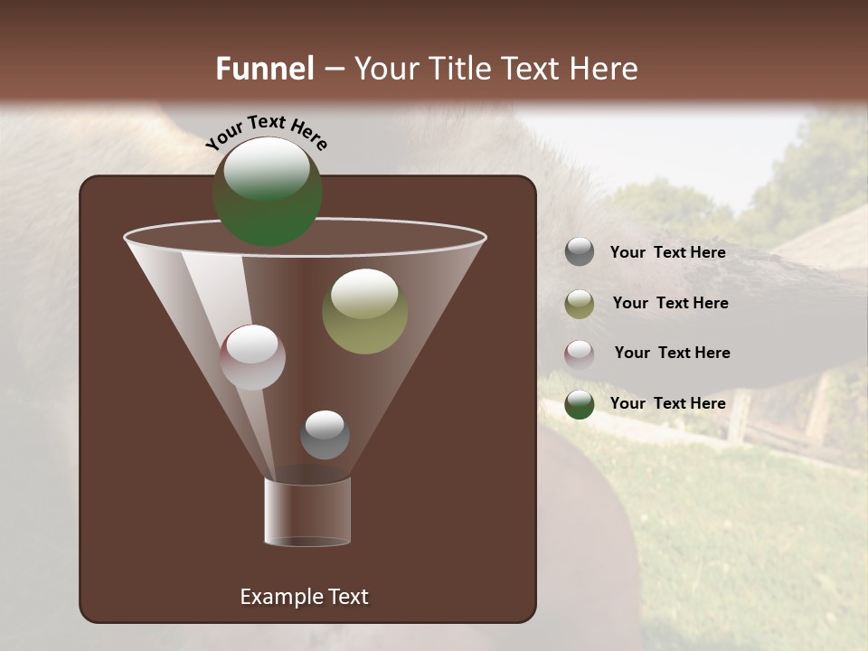 Funny Pig PowerPoint Template