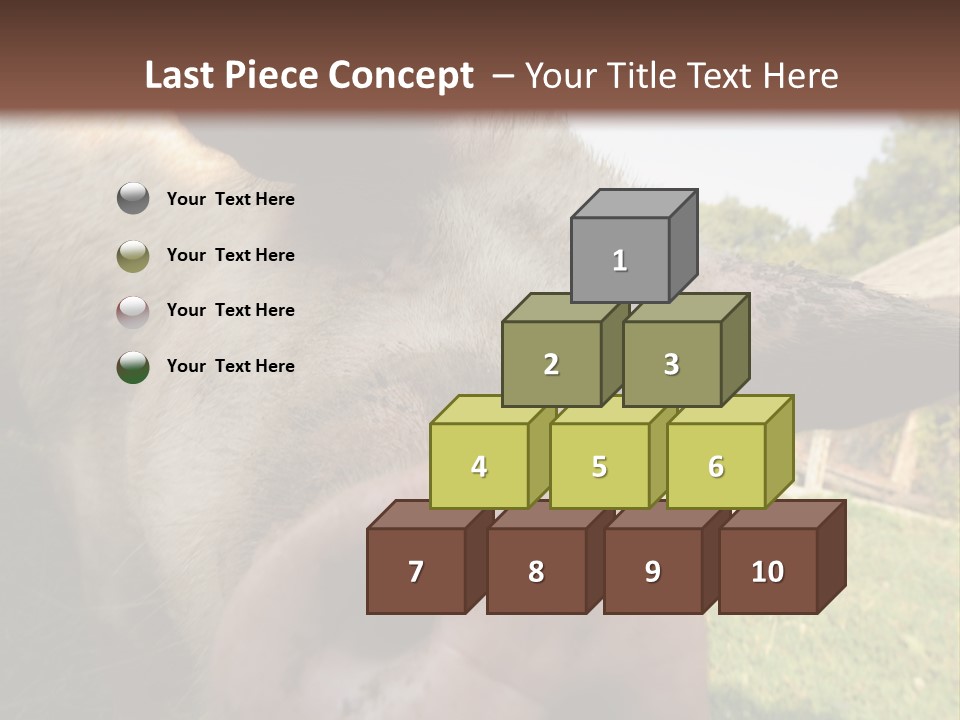 Funny Pig PowerPoint Template