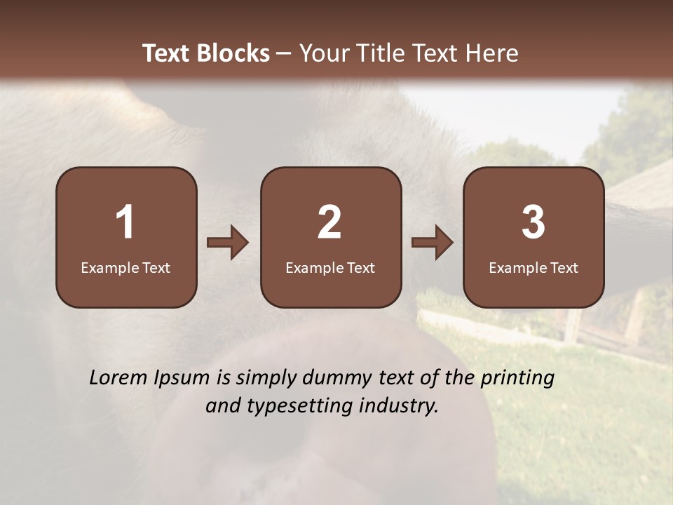 Funny Pig PowerPoint Template