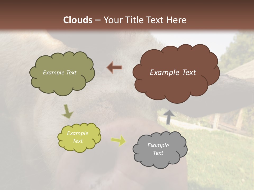 Funny Pig PowerPoint Template