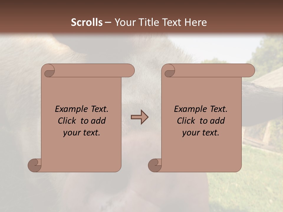 Funny Pig PowerPoint Template