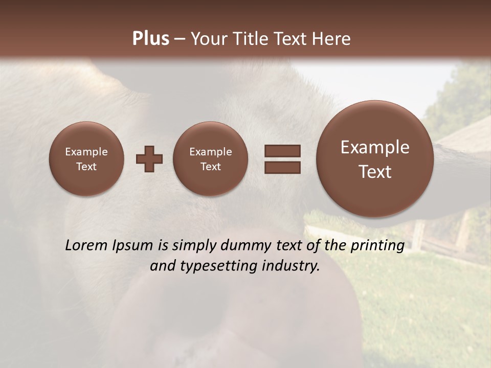 Funny Pig PowerPoint Template