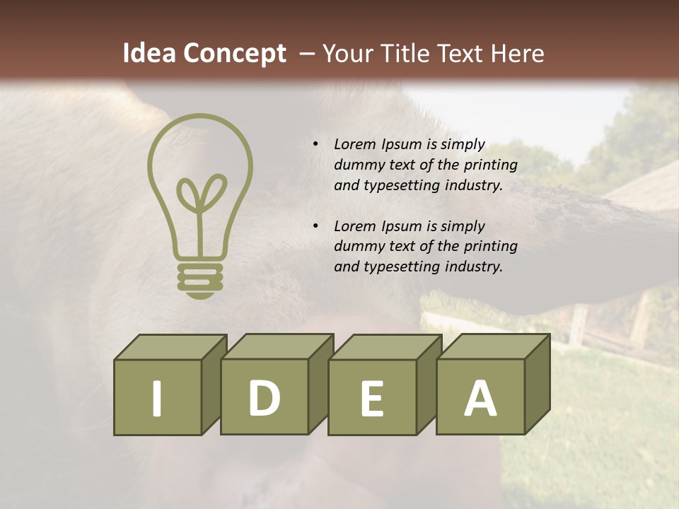 Funny Pig PowerPoint Template