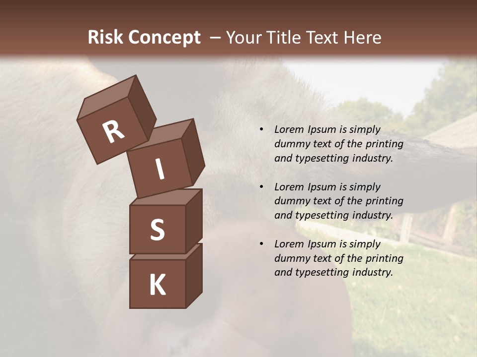 Funny Pig PowerPoint Template