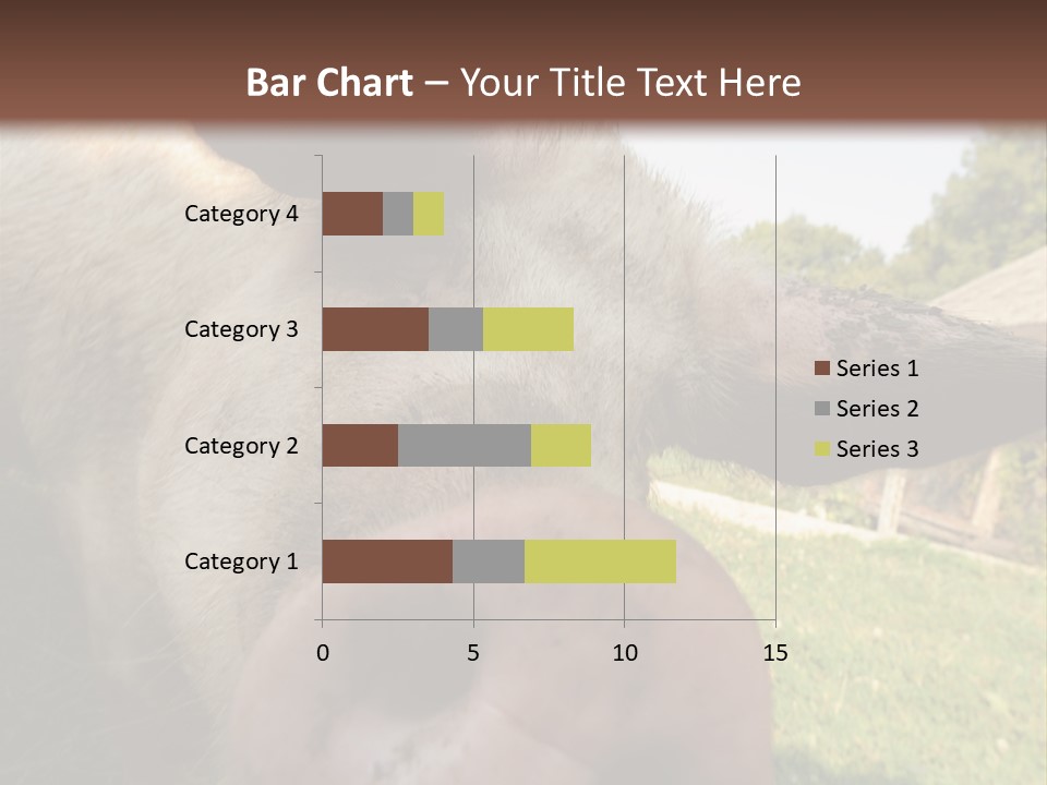 Funny Pig PowerPoint Template