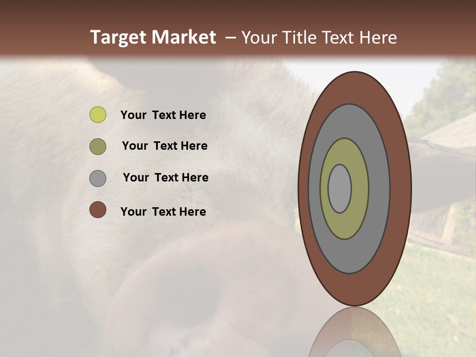 Funny Pig PowerPoint Template