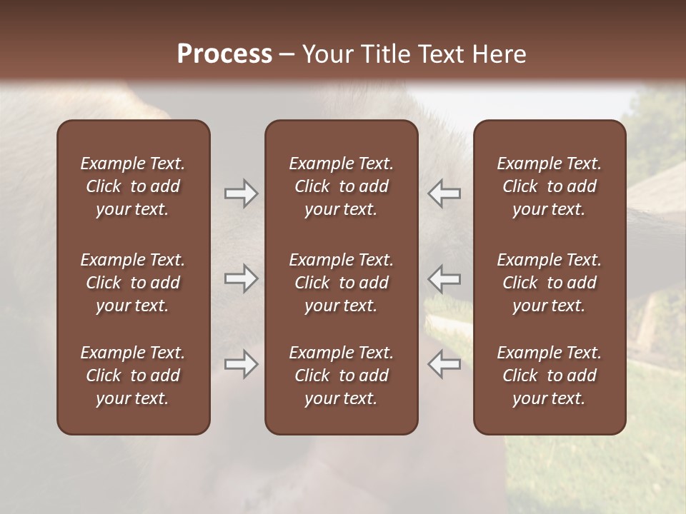 Funny Pig PowerPoint Template
