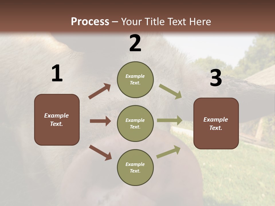Funny Pig PowerPoint Template