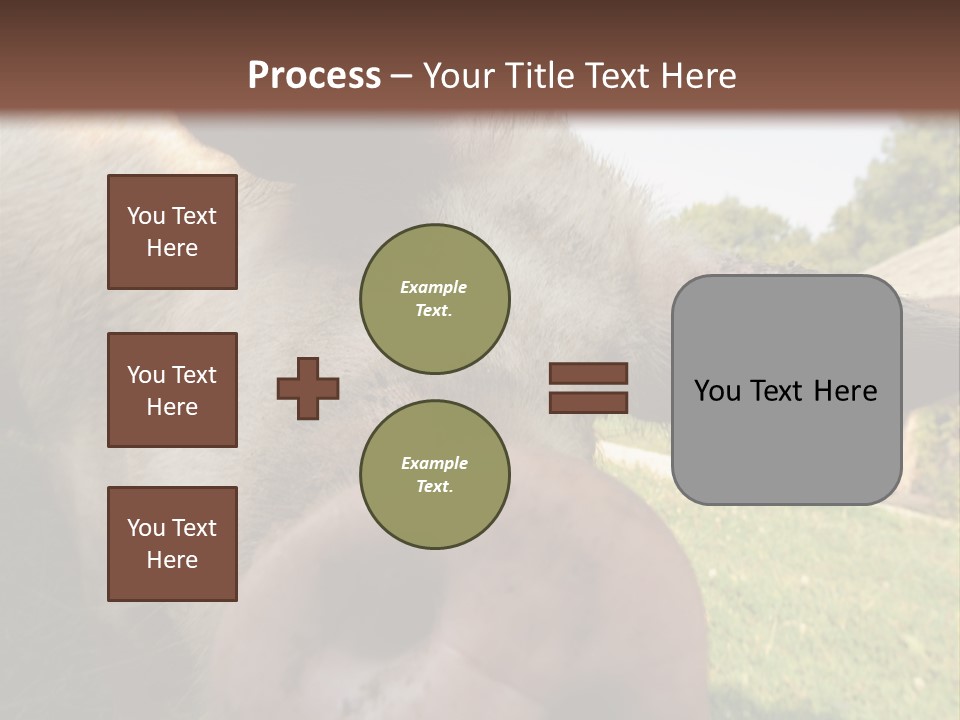 Funny Pig PowerPoint Template