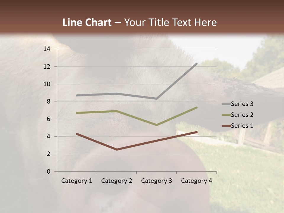 Funny Pig PowerPoint Template