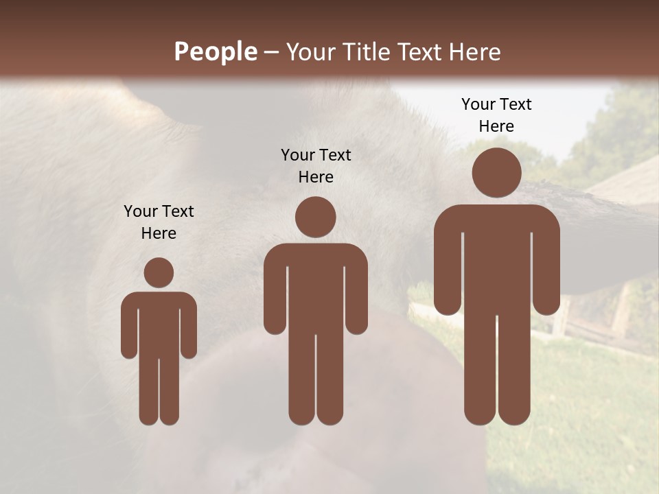 Funny Pig PowerPoint Template