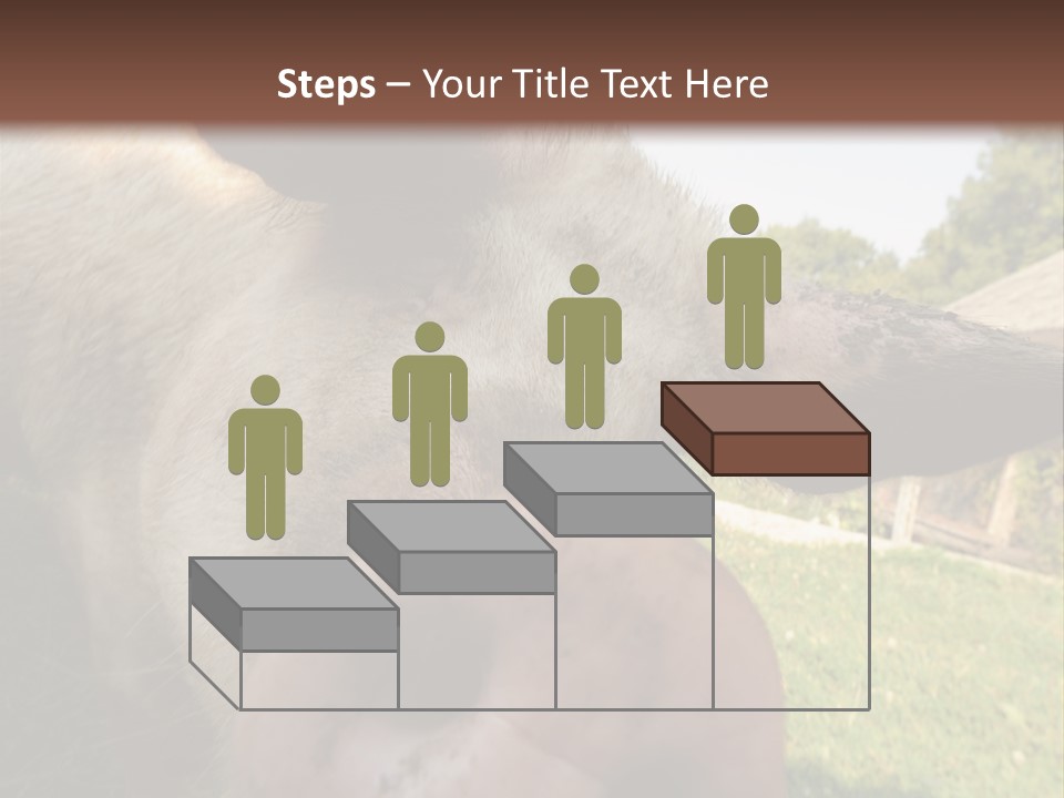 Funny Pig PowerPoint Template