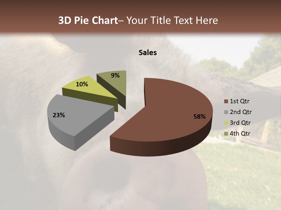 Funny Pig PowerPoint Template