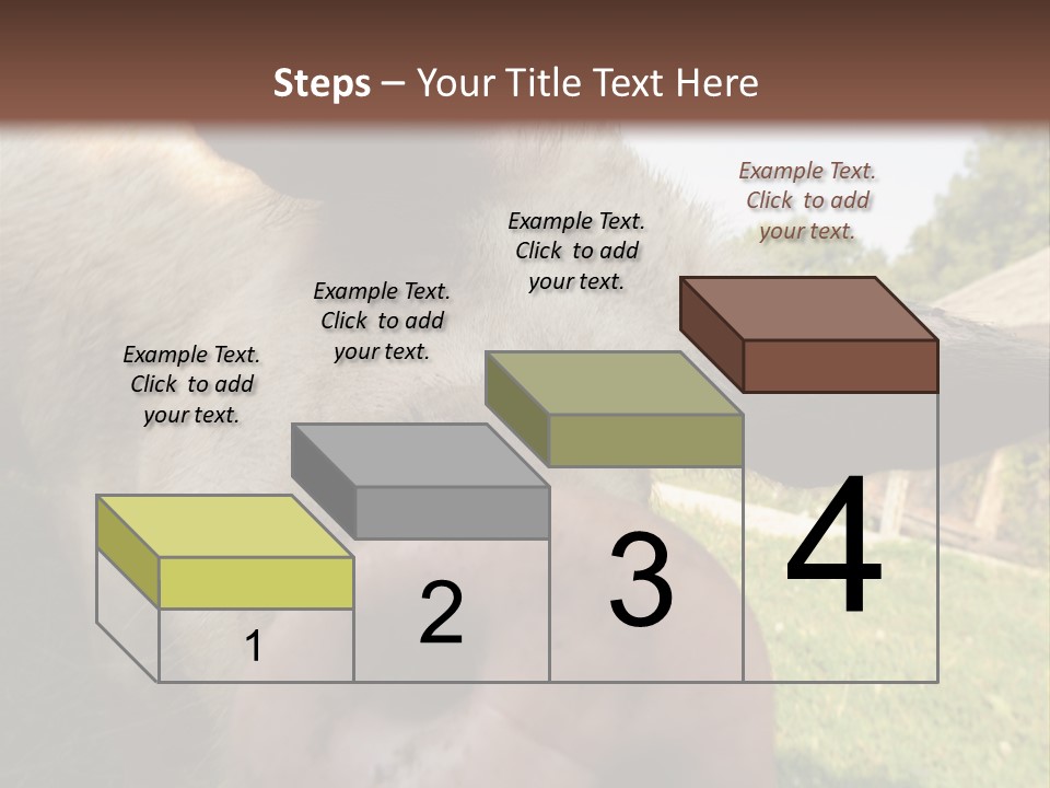 Funny Pig PowerPoint Template