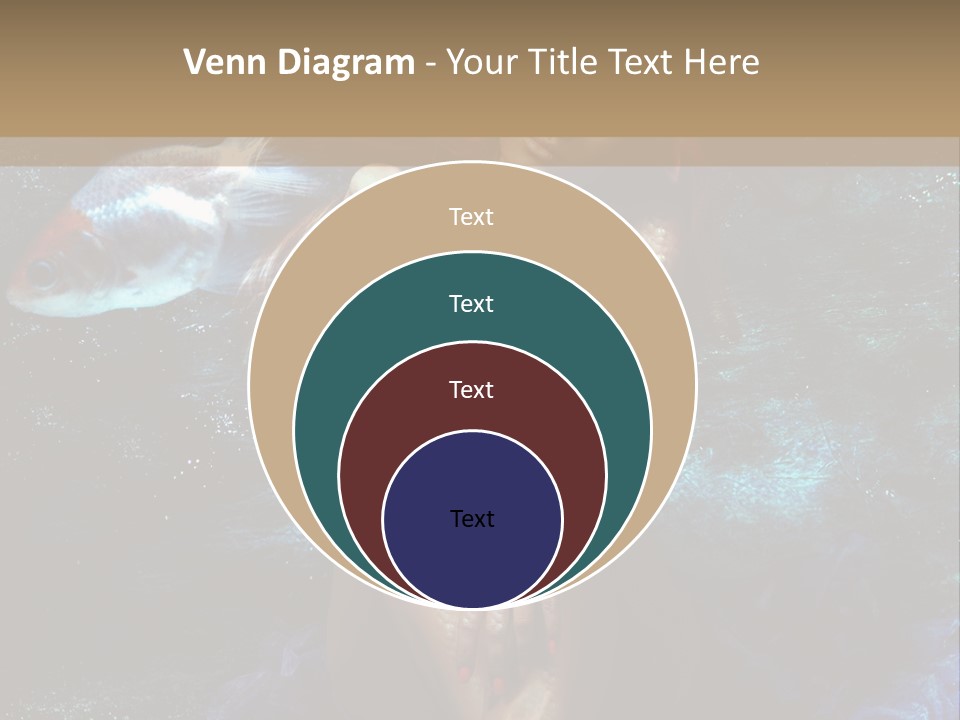Beautiful Mermaid PowerPoint Template