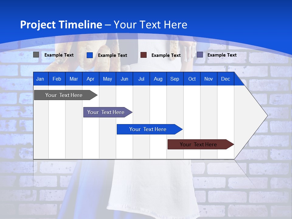 Alice In Wonderland Video Game PowerPoint Template