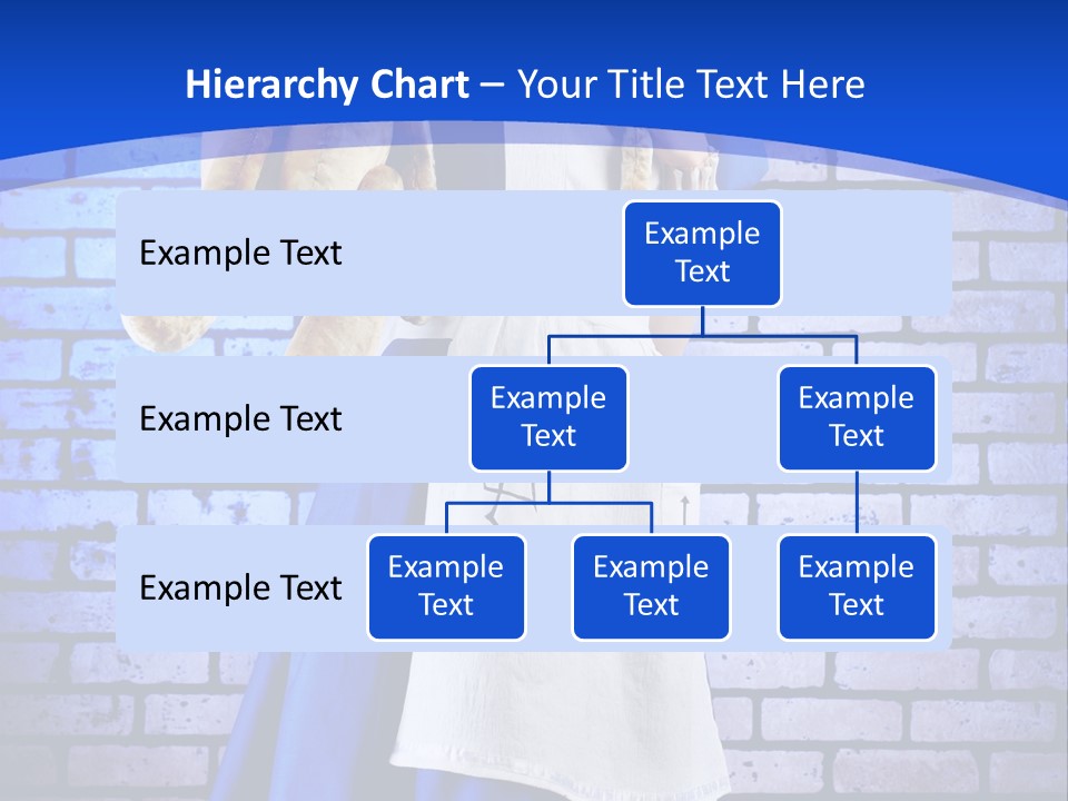 Alice In Wonderland Video Game PowerPoint Template