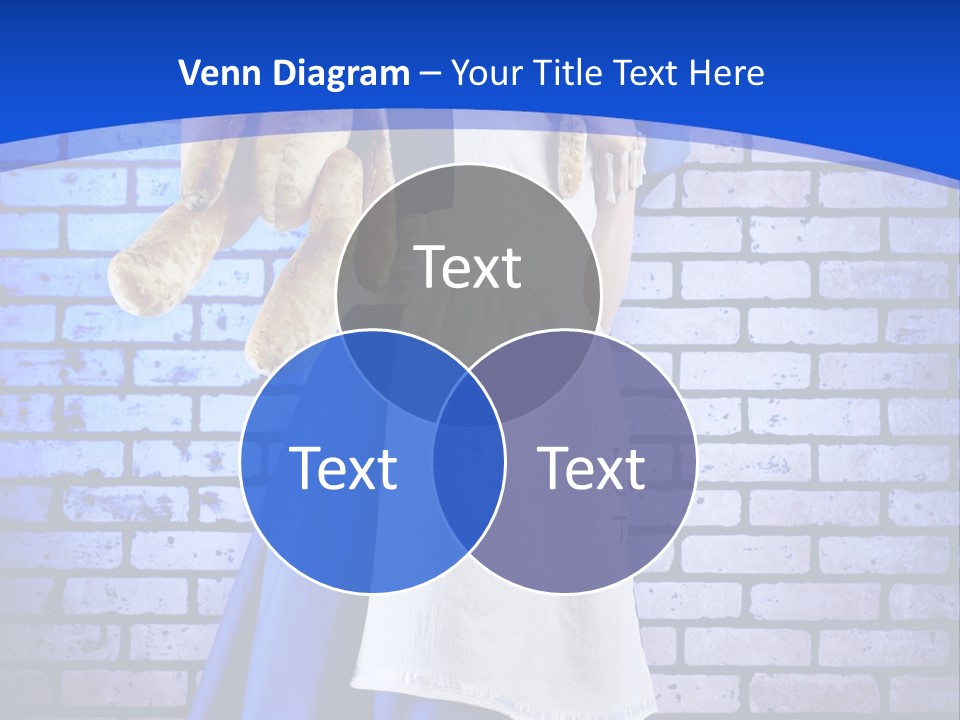 Alice In Wonderland Video Game PowerPoint Template