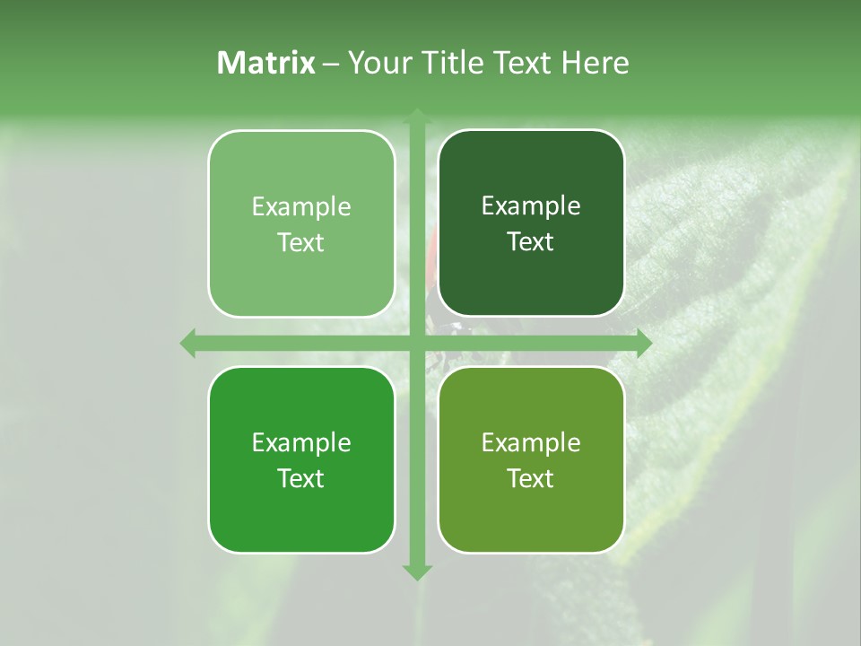 Environment Season Clean PowerPoint Template