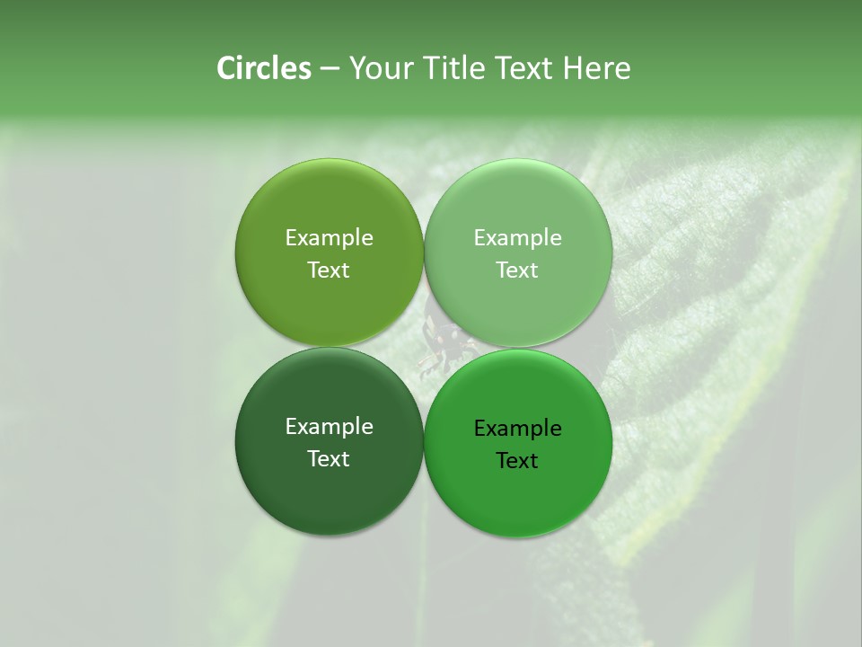 Environment Season Clean PowerPoint Template