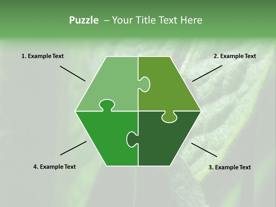 Environment Season Clean PowerPoint Template