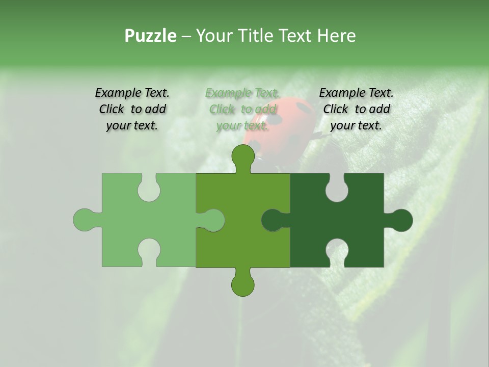 Environment Season Clean PowerPoint Template