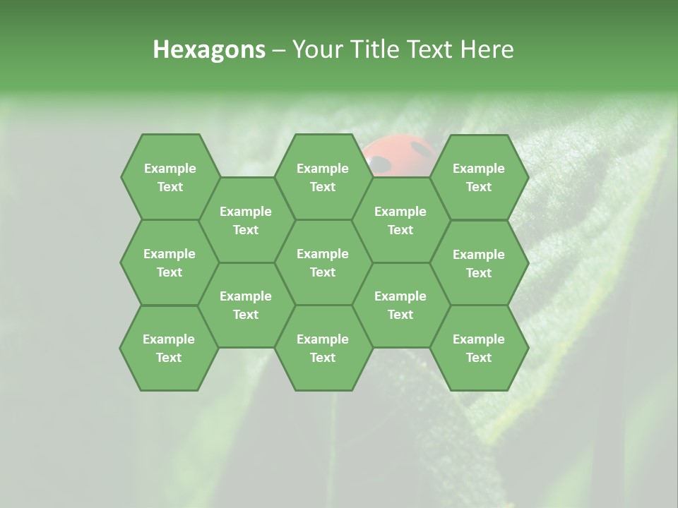 Environment Season Clean PowerPoint Template