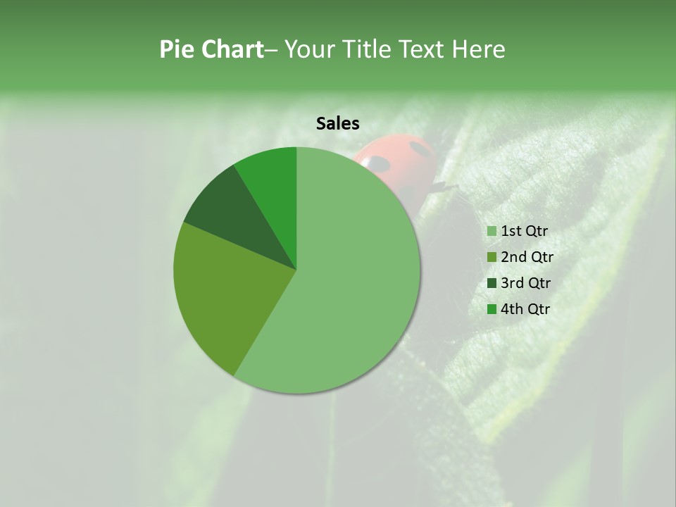 Environment Season Clean PowerPoint Template