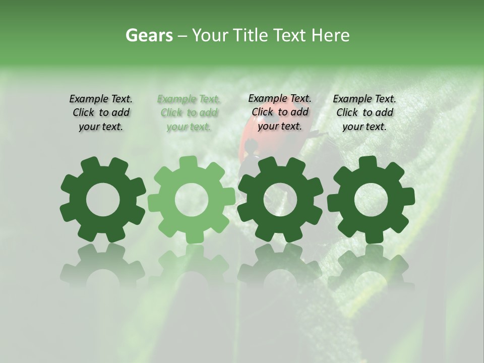 Environment Season Clean PowerPoint Template