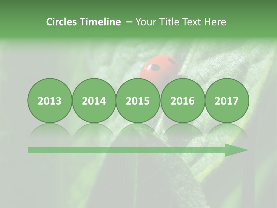 Environment Season Clean PowerPoint Template