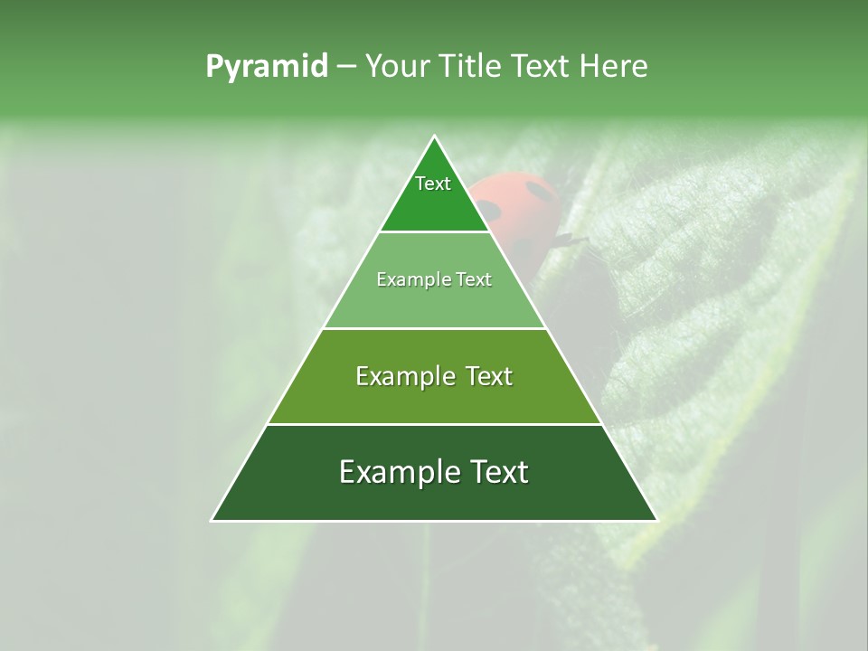 Environment Season Clean PowerPoint Template