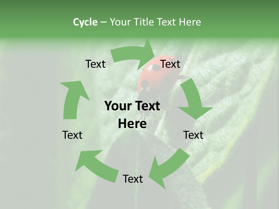 Environment Season Clean PowerPoint Template