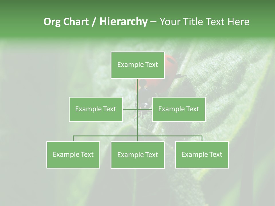 Environment Season Clean PowerPoint Template